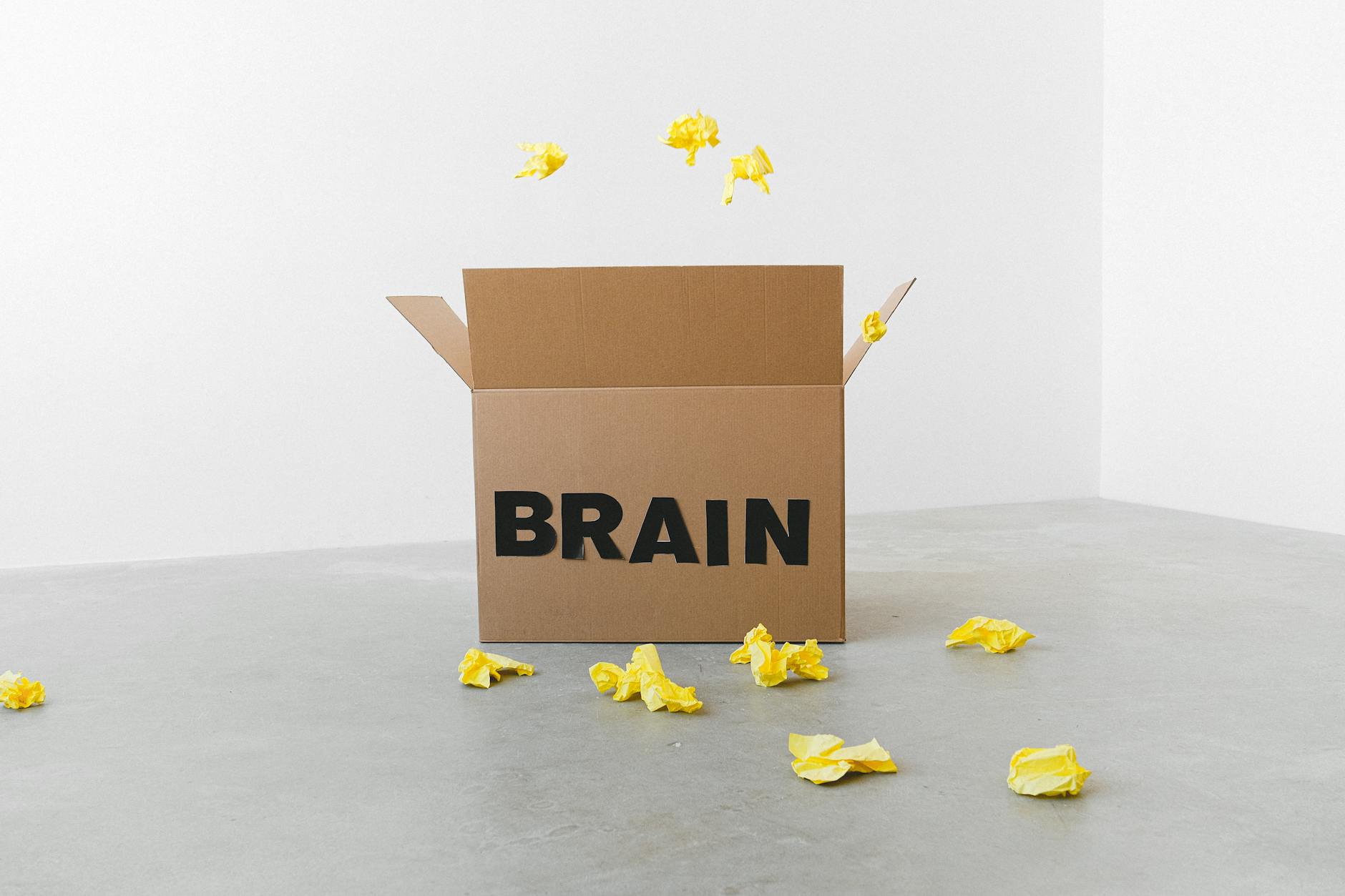 How Inflammation Damages Memory and Cognition