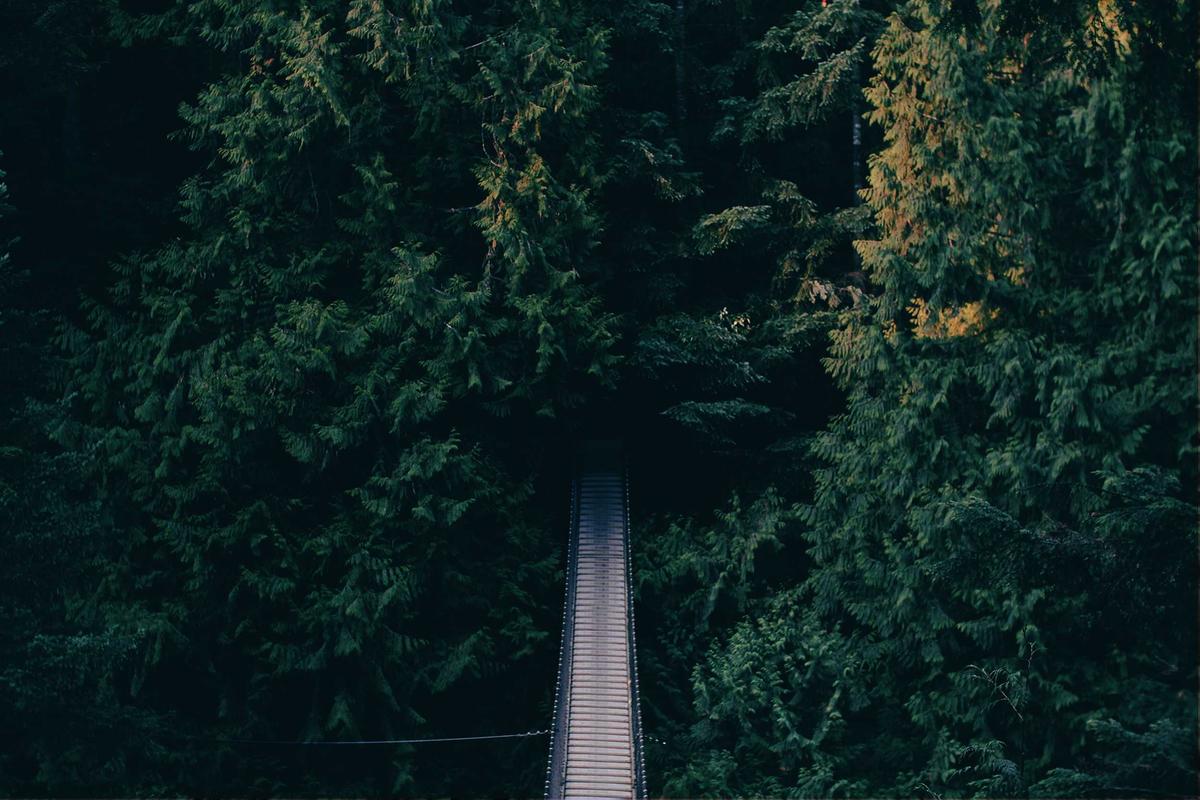 Practical Steps for High-Risk Individuals