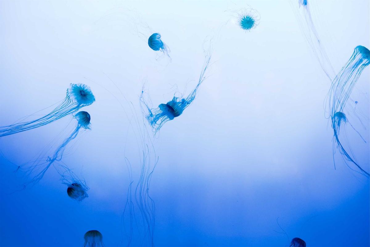 Recent Breakthroughs in 3D Brain Models (2024-2025)