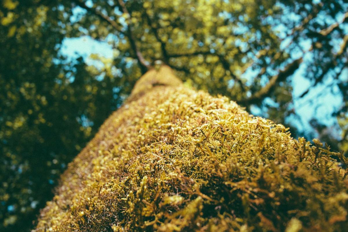 The Sleep Duration Factor—Finding the Optimal Window