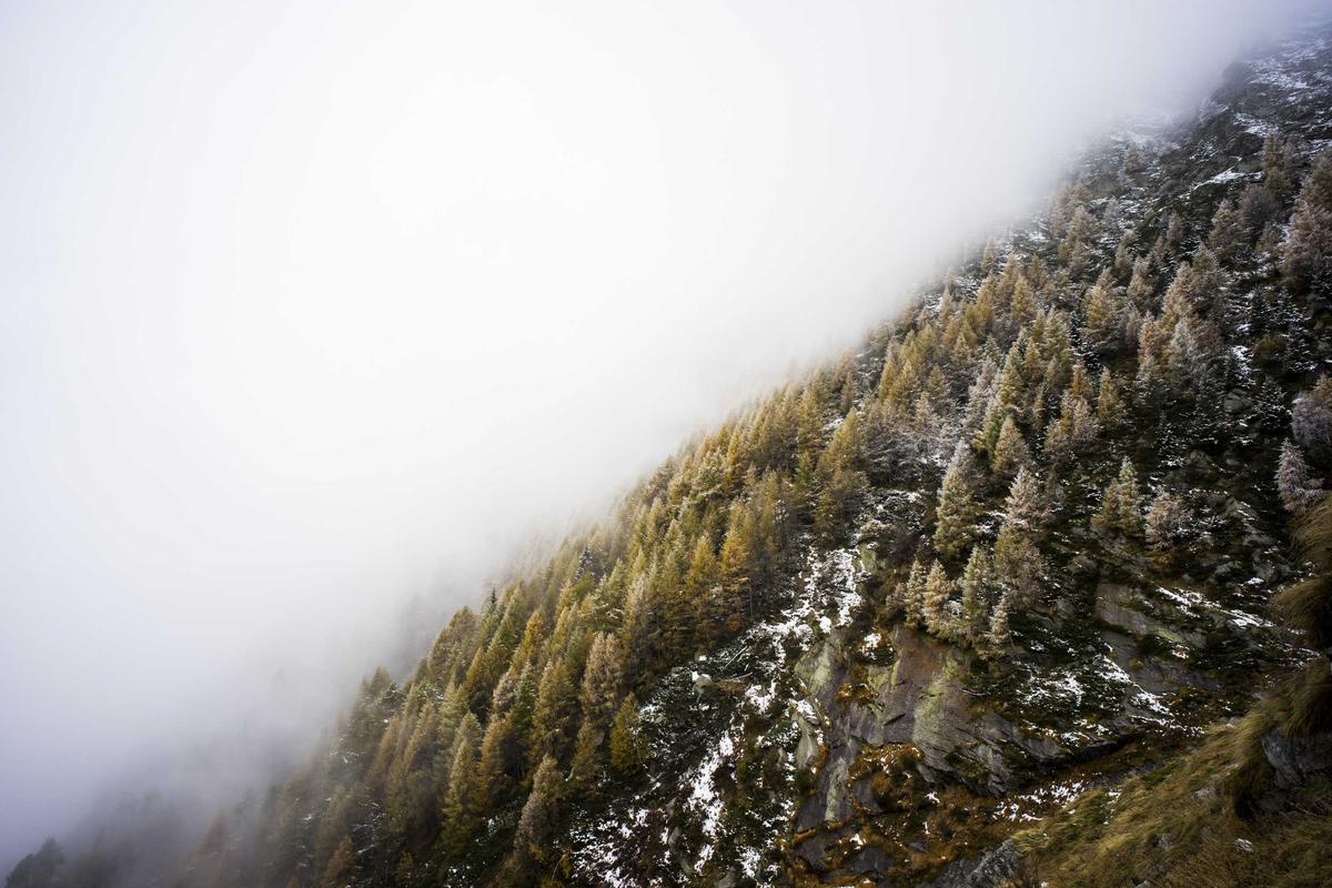 What Are Fall Detection Systems and How Do They Prevent Injuries?