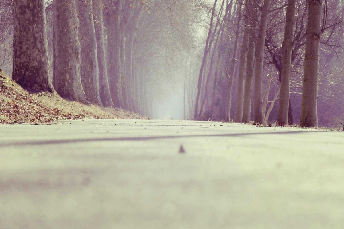 What Are the Defining Symptoms and Physical Changes of End-Stage Dementia?