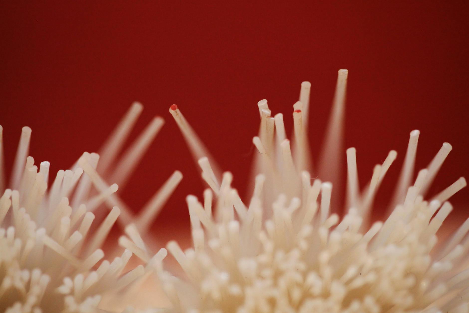 What Makes Olfactory Dysfunction Such a Sensitive Early Marker?