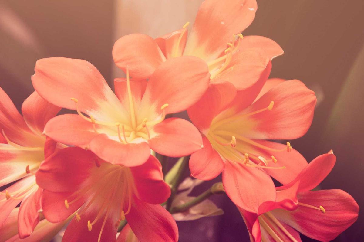 What Makes Someone More Vulnerable to Alzheimer's Disease?
