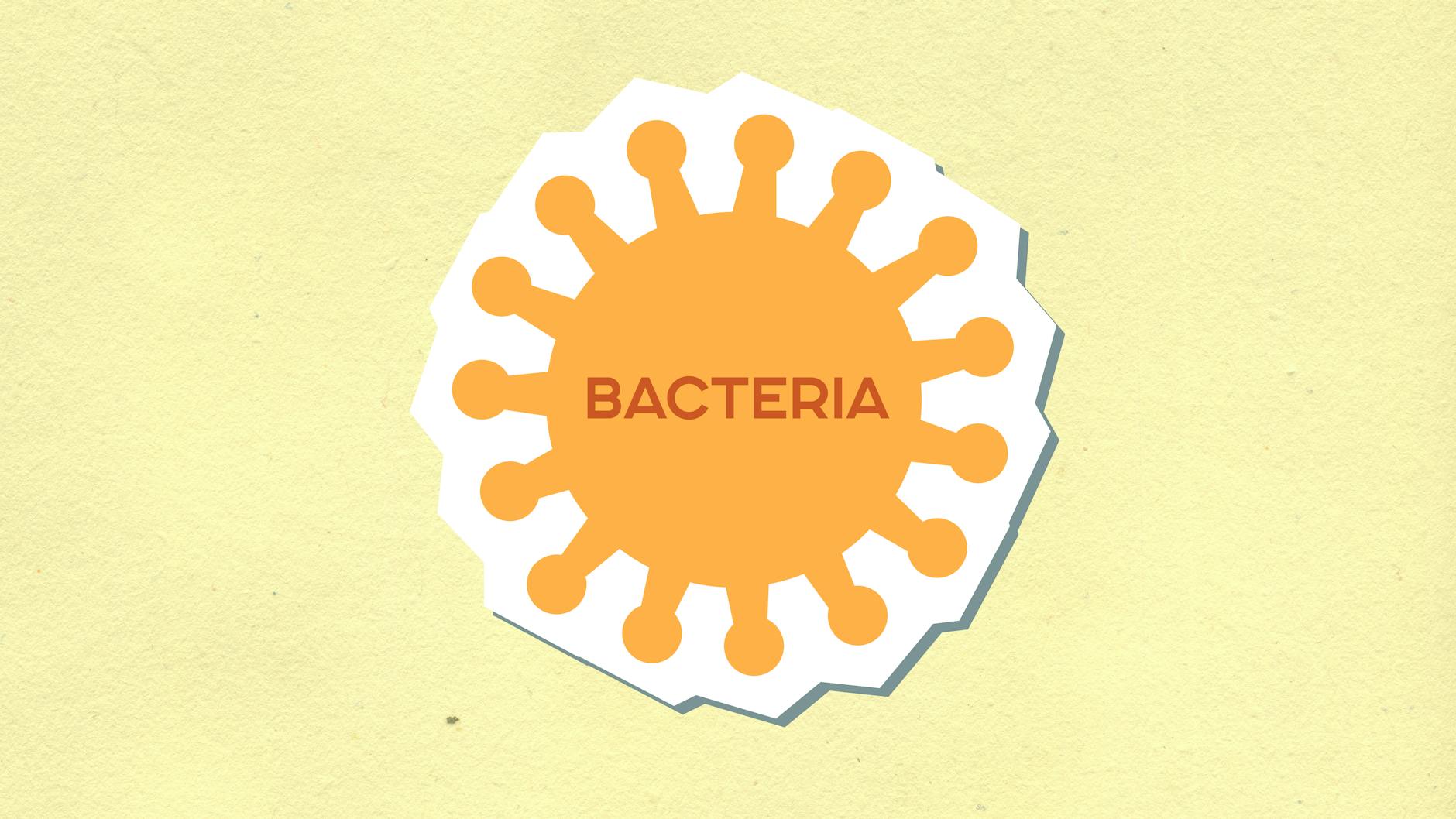 Which Specific Bacteria Protect Against Dementia?
