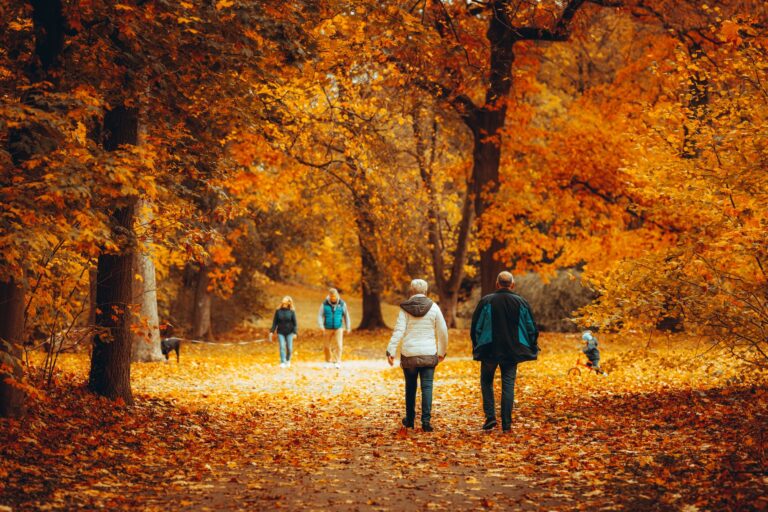 Autumn Wood Burning: Why Fall Bonfires and Neighborhood Hearth Smoke Carry Neurological Risks - Featured image
