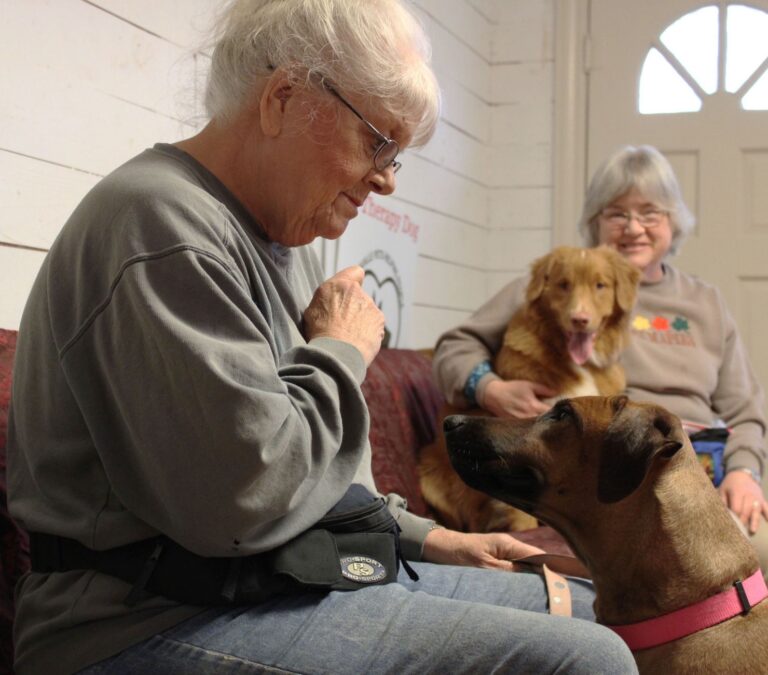 Can Animal Studies Support Human Brain Health Claims? - Featured image