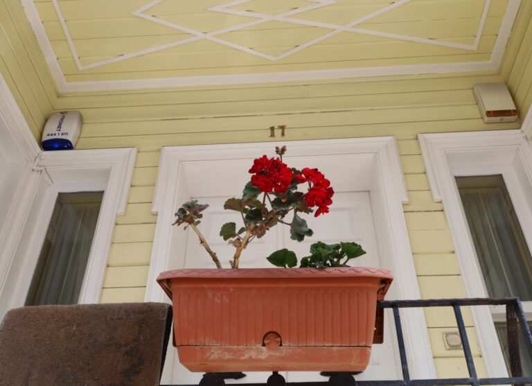 Door Alarms for Dementia: Which Alert Systems Work for Different Homes? - Featured image