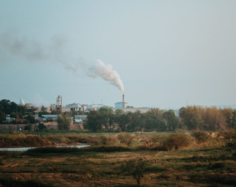 How Air Pollution Alters the Gut Microbiome, Damaging Your Vital Gut-Brain Axis - Featured image