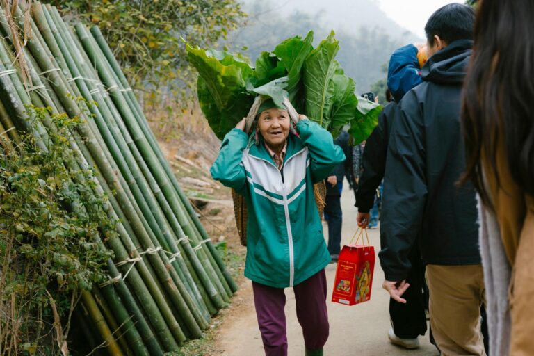 Leafy Greens Combat Dementia: Which Vegetable Protects Brain Function - Featured image