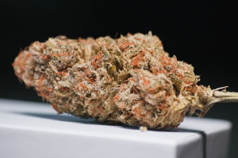 THC and CBD: Analyzing the LIBBY Trial Findings - Featured image