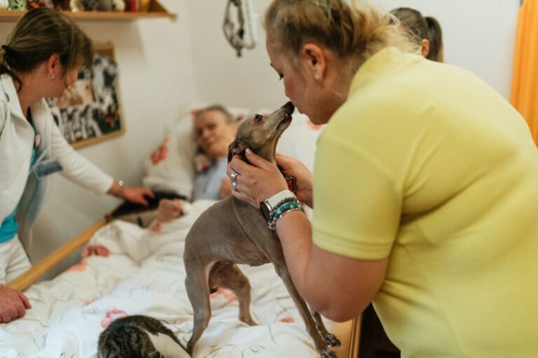 Why PET imaging delivers better Alzheimer's diagnosis results than blood tests - Featured image