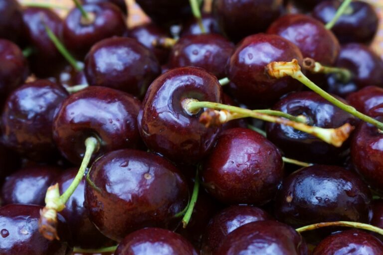 Tart Cherry Mocktails for Memory Loss: Sleep Theory vs Dementia Evidence - Featured image