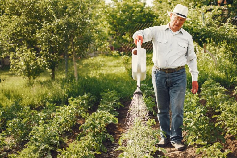 Watering a Familiar Garden: Creating Space for Connection in Dementia Care - Featured image