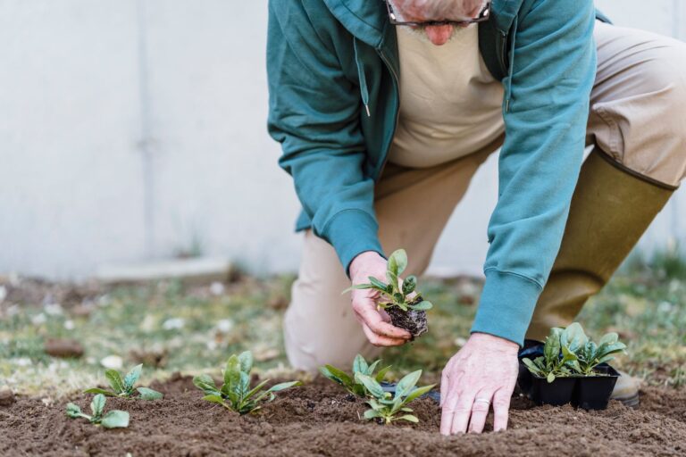 A Short Garden Visit With Dementia: Choosing One Thing to Notice - Featured image