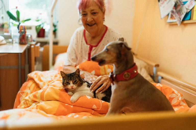Alternatives to Familiar Music Sessions for Memory Care Groups When Interest Changes - Featured image