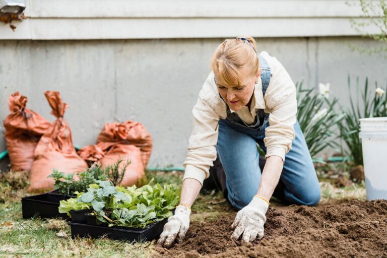 Gardening and Alzheimer's Prevention: Benefits, Limits, and Next Steps - Featured image