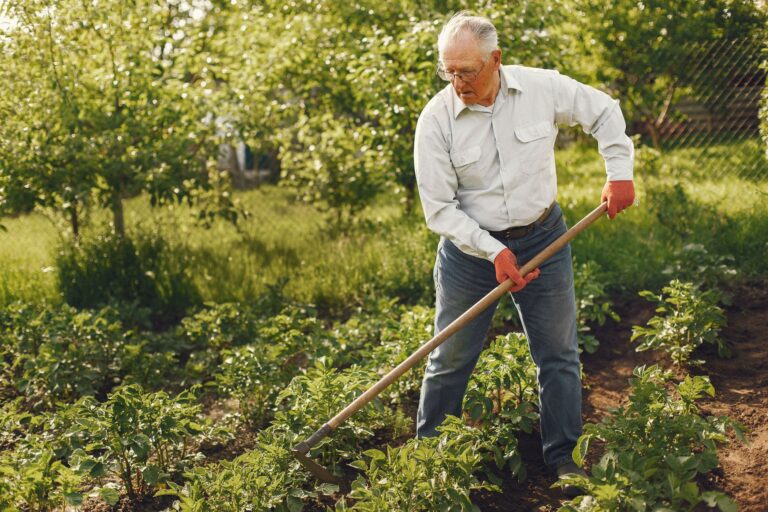 Gardening in Midlife: Why Timing May Matter for Dementia Risk - Featured image