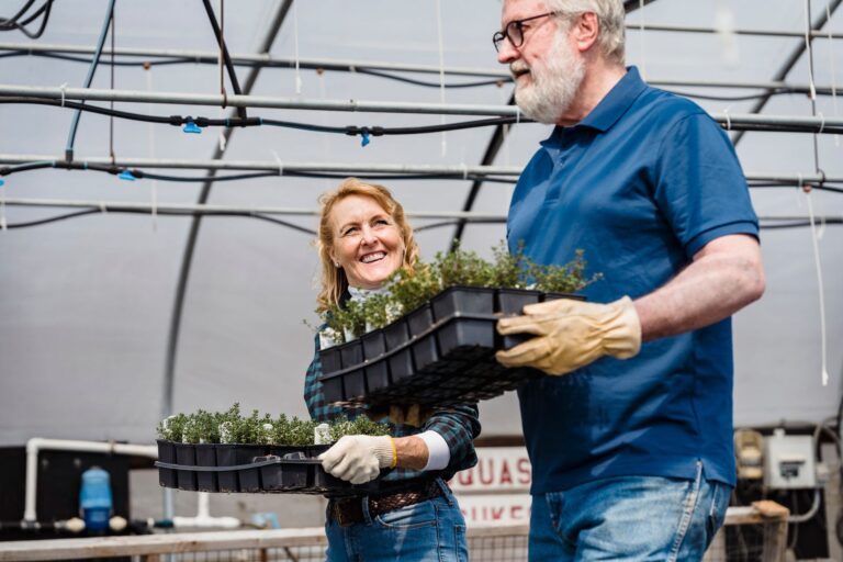 Indoor Gardening for Early-Stage Dementia: Signs of Engagement and Distress - Featured image