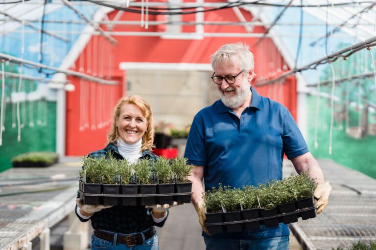Indoor Gardening for Early-Stage Dementia: Setup, Supplies, and Safety - Featured image
