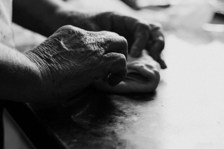 No-Cook Food Preparation for Middle-Stage Dementia: Signs of Engagement and Distress - Featured image